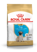 Royal_Canin_Pug__54b4d2dbf2982.jpg